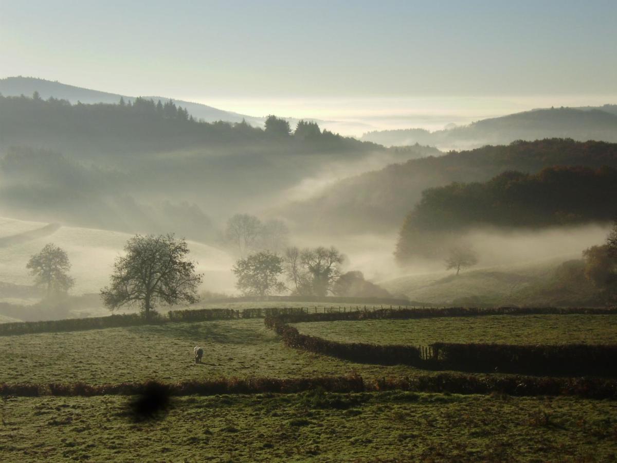 Le Studio Du Crot Noir Cussy-en-Morvan Exteriér fotografie