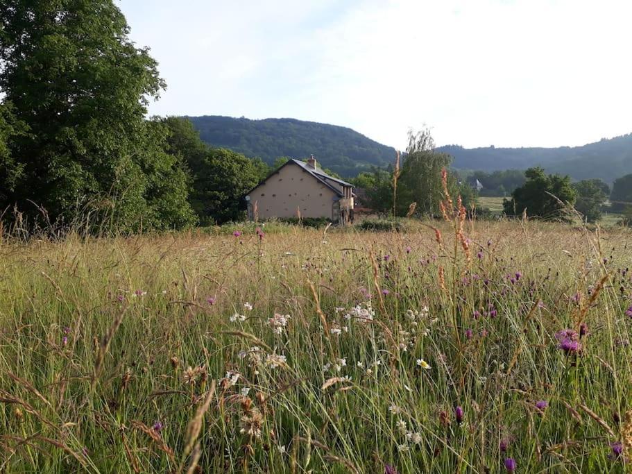 Le Studio Du Crot Noir Cussy-en-Morvan Exteriér fotografie